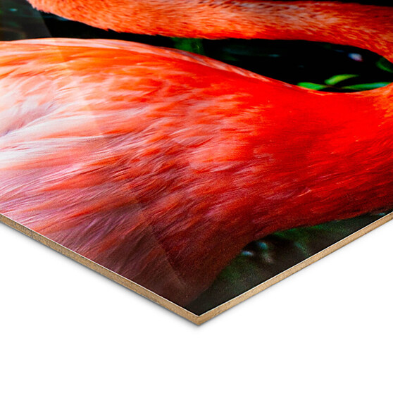 Detalle de un cuadro con impresión sobre madera brillante ChromaLuxe