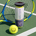 Painetut tennispallot