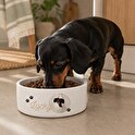 Personalised food bowls for dogs and cats