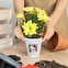 Personalised plant pots for flowers