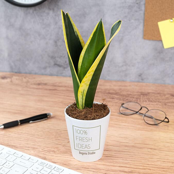 Personalizowana doniczka ceramiczna