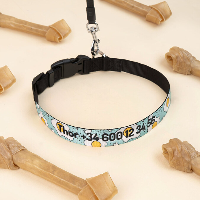 Hundehalsbånd med navn og design