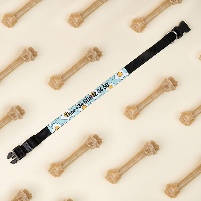 Personalised dog collar