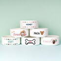 Comedouro personalizado para cães e gatos