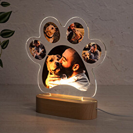 3D Lampe Holz Pfotenabdruck