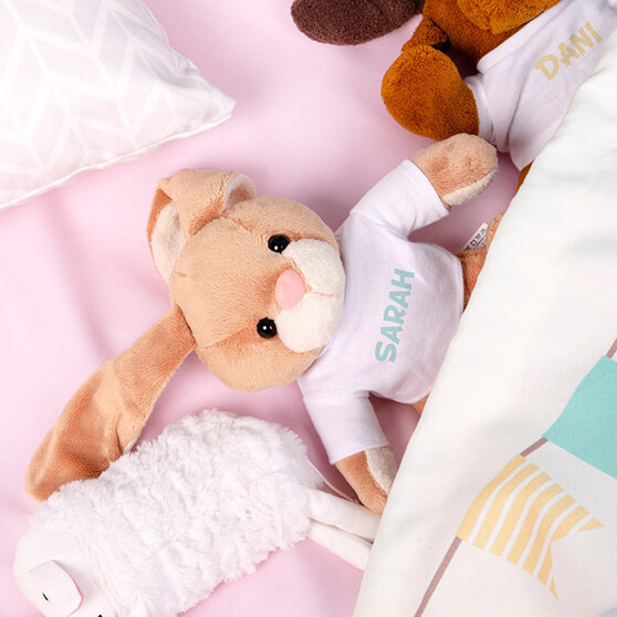 Conejito de peluche con camiseta personalizada Conejito de peluche con camiseta personalizada