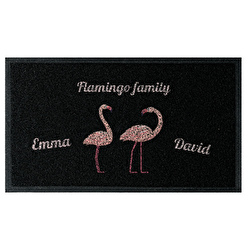 Flamingo family (2)