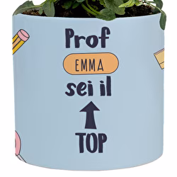 Prof TOP