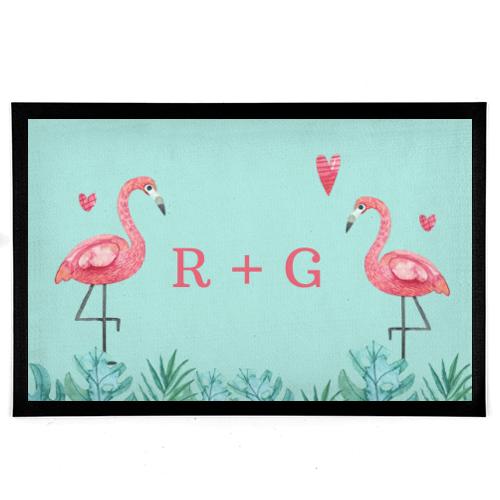 Flamingos love