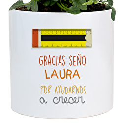 Profesora