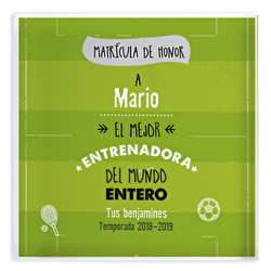Entrenador Matrícula de honor 2 (fútbol)