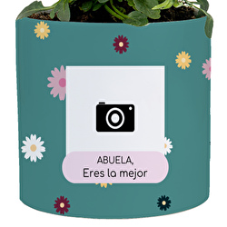 Abuela, eres la mejor
