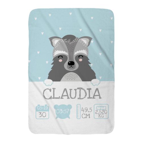 Nacimiento Mapache Nacimiento Mapache