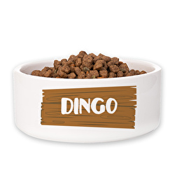 Log