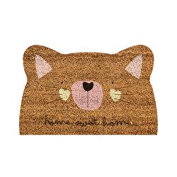 Cat "home sweet home"