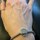 review thumb image review thumb image