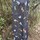 review thumb image review thumb image