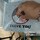 review thumb image review thumb image