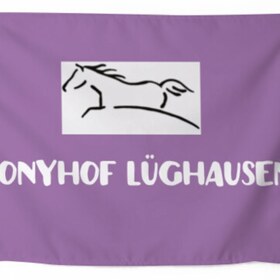 Fahnen selbst gestalten und bedrucken Wanapix