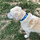 review thumb image review thumb image